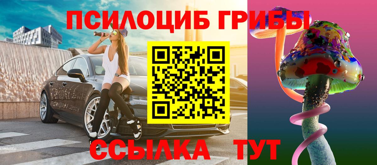 Псилоцибиновые грибы Psilocybe Обь